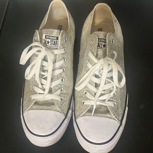Size 12 sliver glitter Conserve